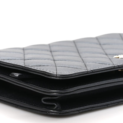 Chanel Iridescent Lambskin Quilted Pearl Wallet On Chain WOC Black 10 of 12