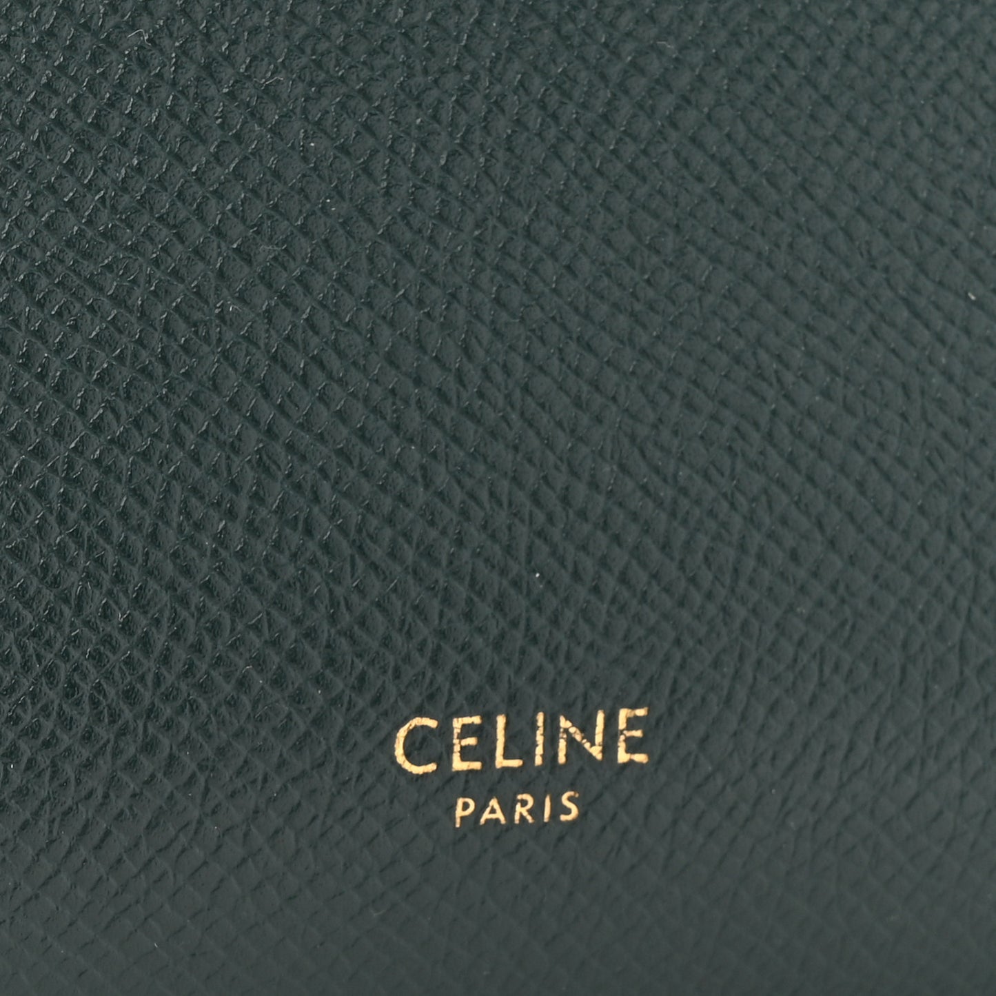 Grained Calfskin Nano Belt Bag Amazone