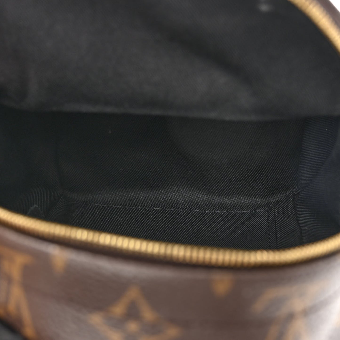 Monogram Palm Springs Backpack Mini