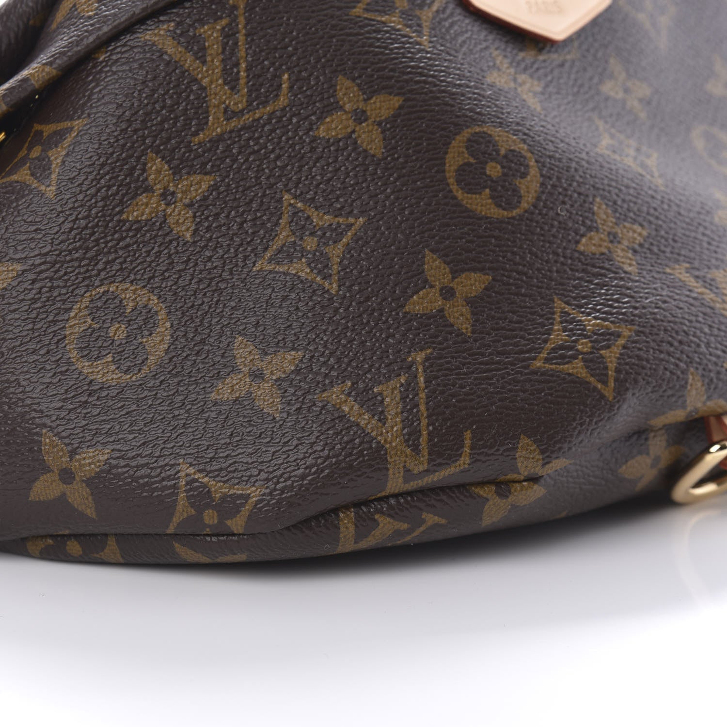 Louis Vuitton Monogram Bumbag 6 of 9