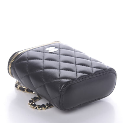 Chanel Lambskin Quilted Small Vertical Coco Beauty Vanity Case With Chain Black 4 of 9
