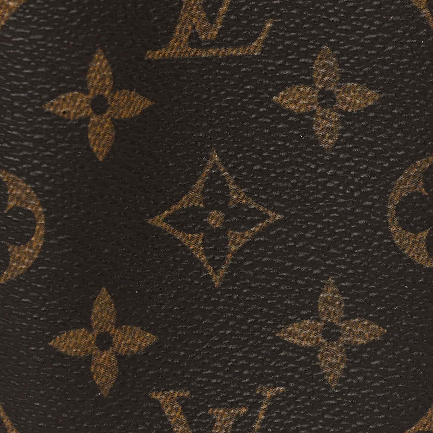 Monogram Sunglasses Case MM