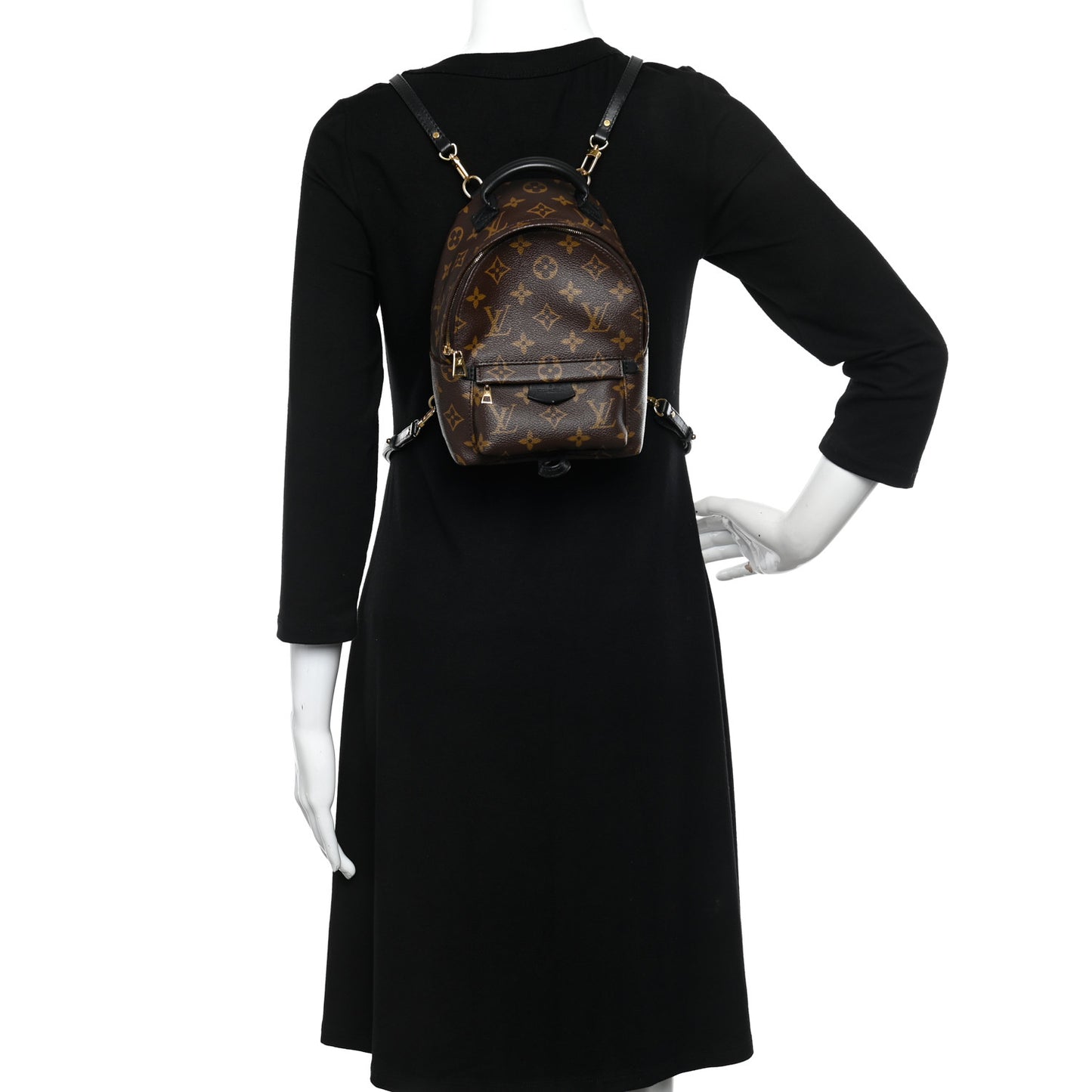Monogram Palm Springs Backpack Mini
