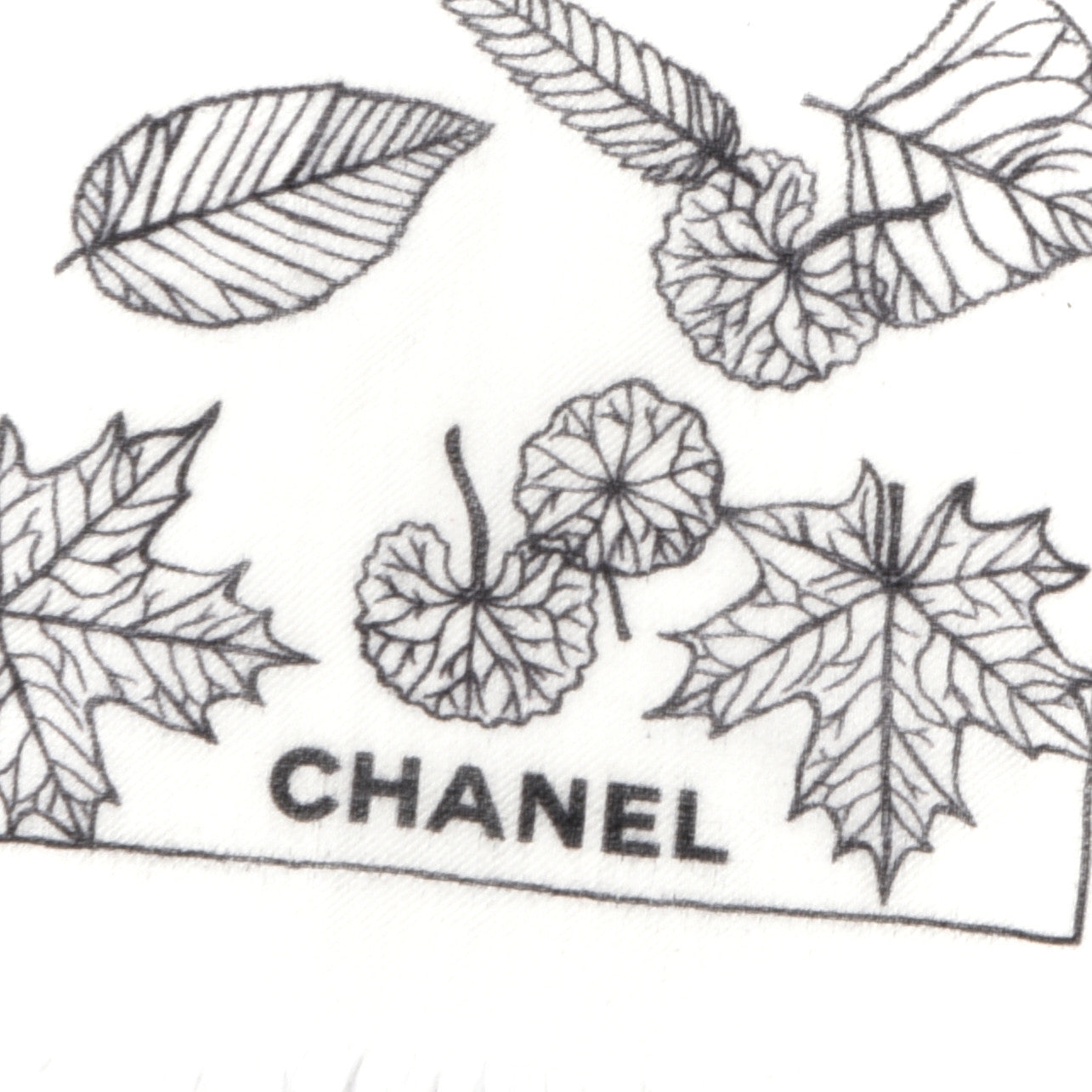 Cashmere CC Logo Leaves Scarf White Black
