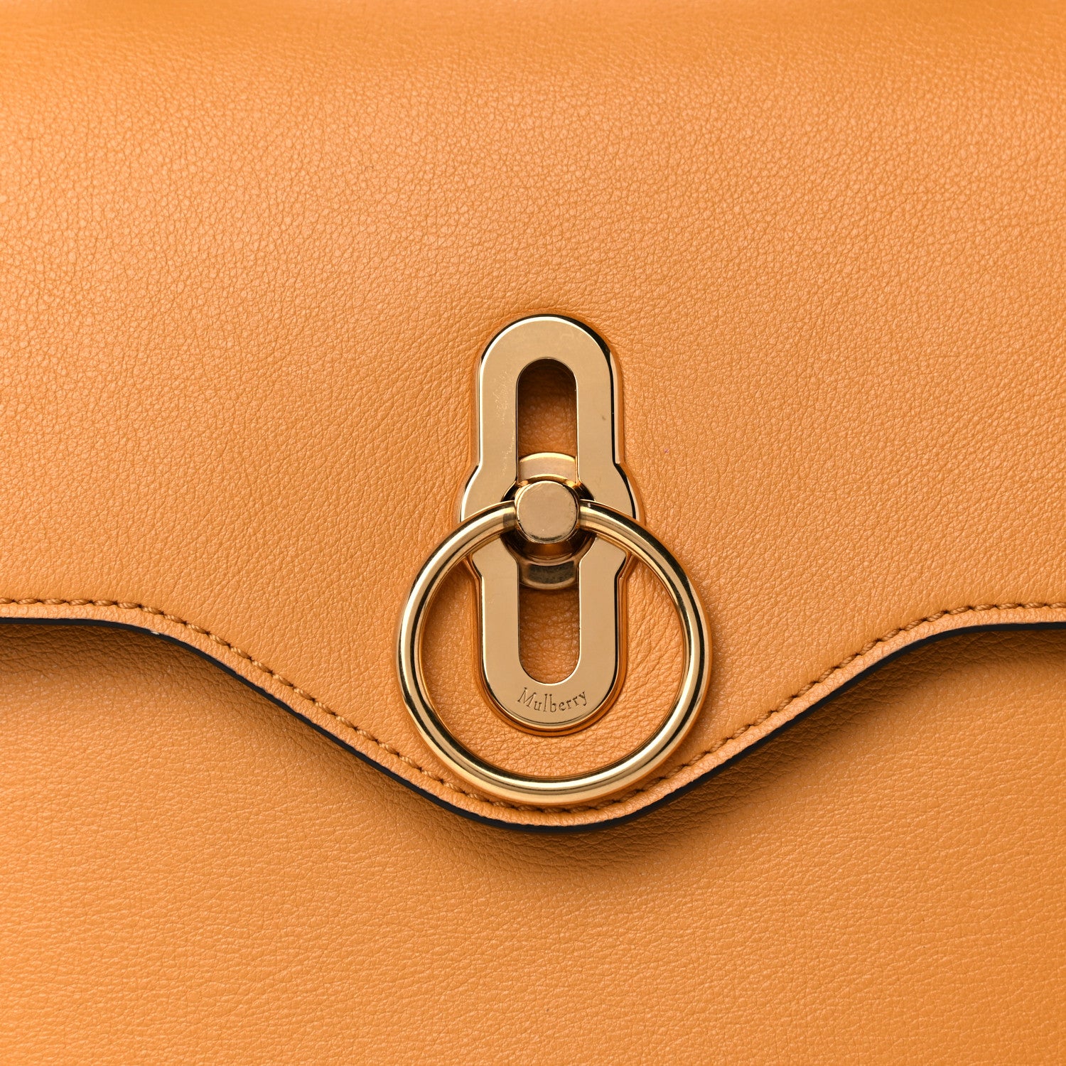 Mulberry Silky Calfskin Small Seaton Deep Amber 14 of 14