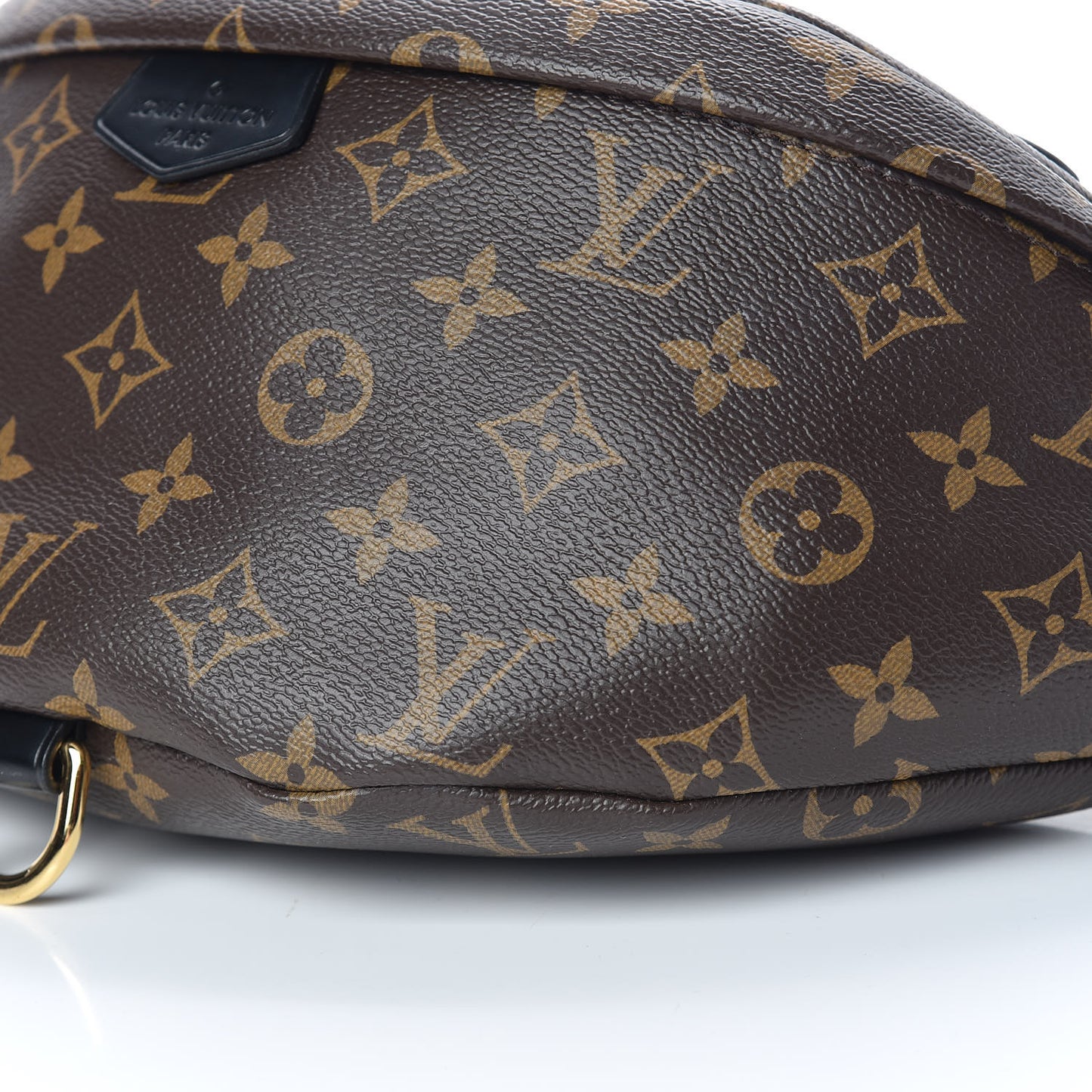 Monogram My LV World Tour Bumbag
