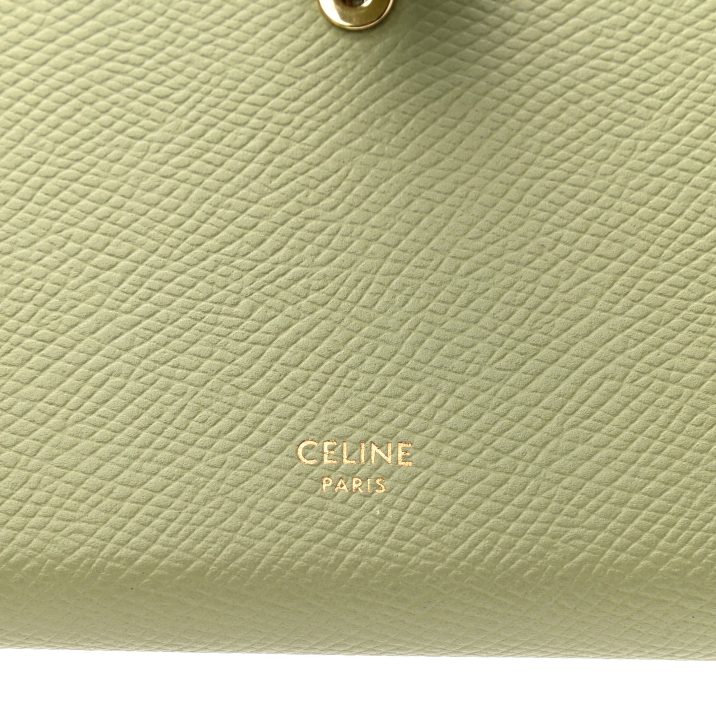 Grained Calfskin Medium Multifunction Strap Wallet Sage Lilas