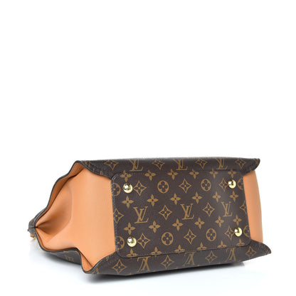 Louis Vuitton Monogram Gaia Epice 4 of 13
