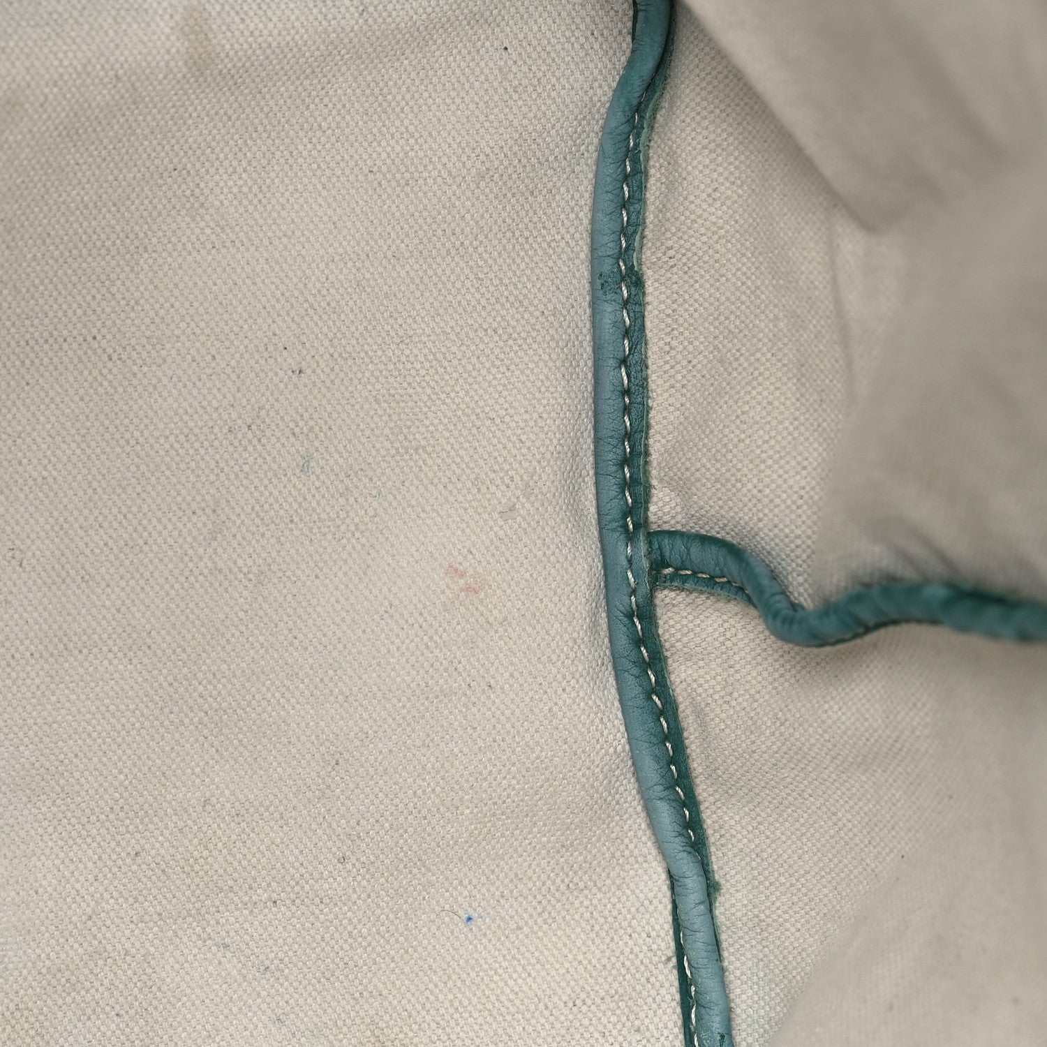 Goyard Goyardine Saint Louis GM Green 14 of 19