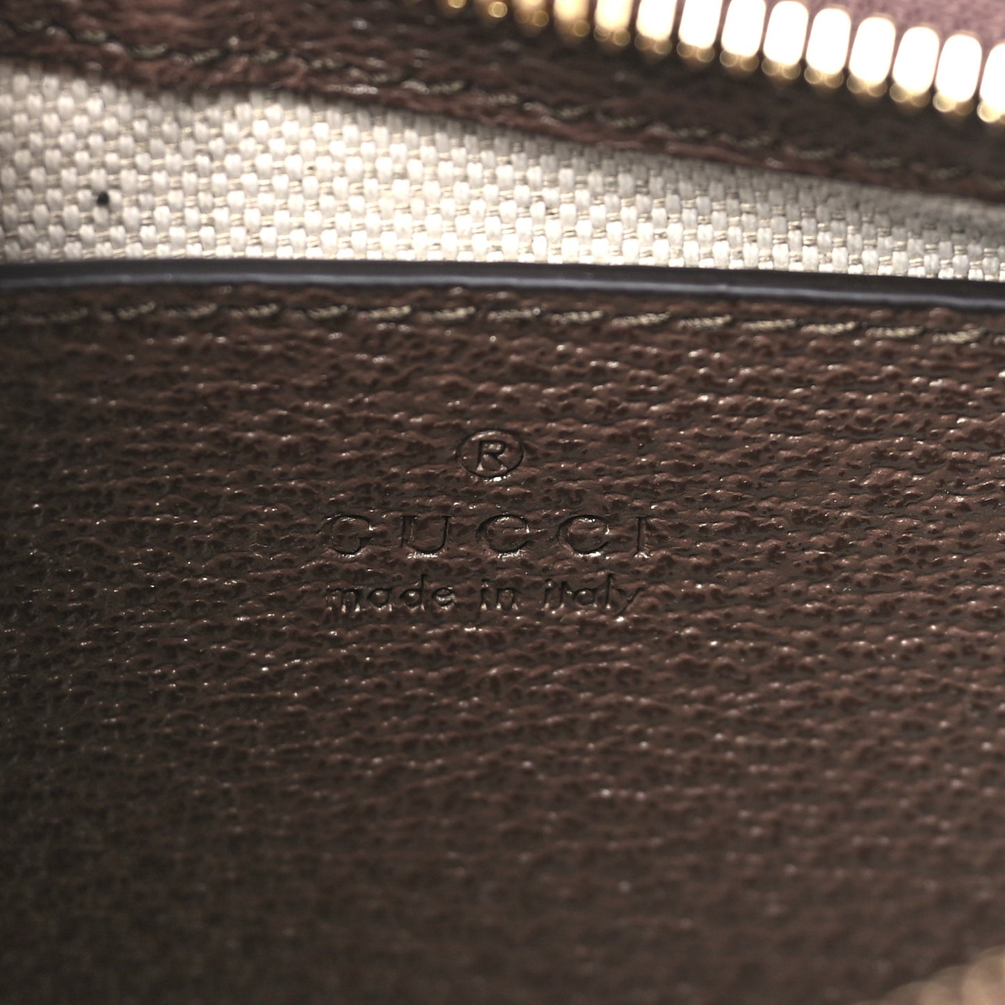GG Supreme Monogram Textured Dollar Calfskin Web Small Ophidia GG Handbag Beige Ebony New Acero