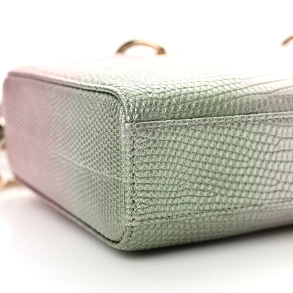 Christian Dior Lizard Gradient Medium Lady D-Joy Light Pink Green 9 of 12