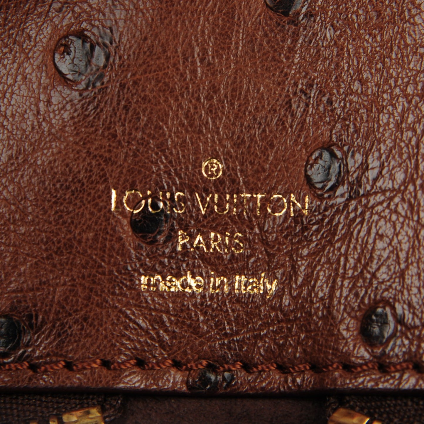 Monogram Etoile Exotique GM Miel