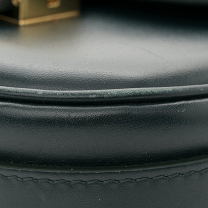 Celine Shiny Calfskin Medium Chain Maillon Triomphe Amazone 12 of 12