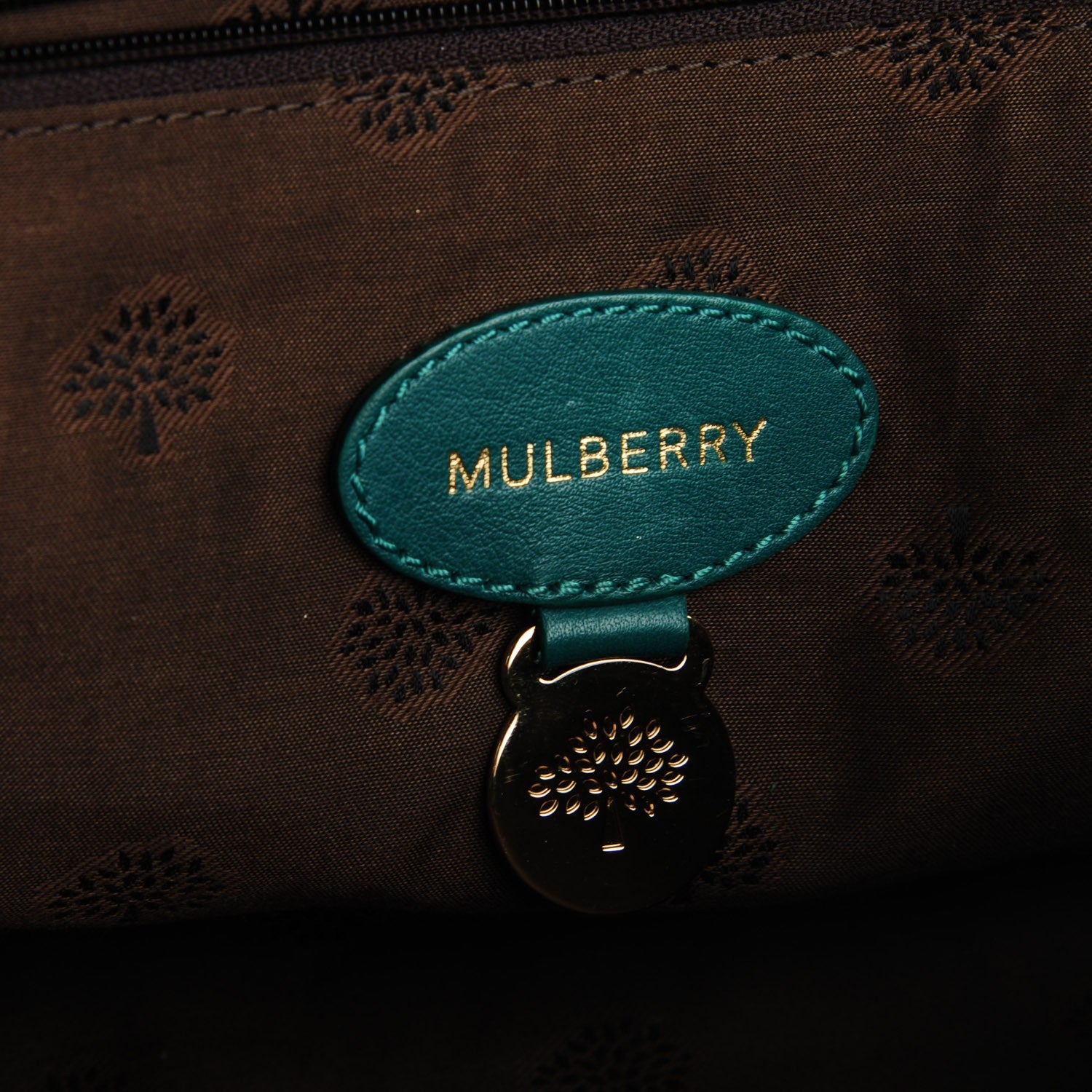 Mulberry Micrograin Calfskin Lizard Medium Alexa Emerald 8 of 9