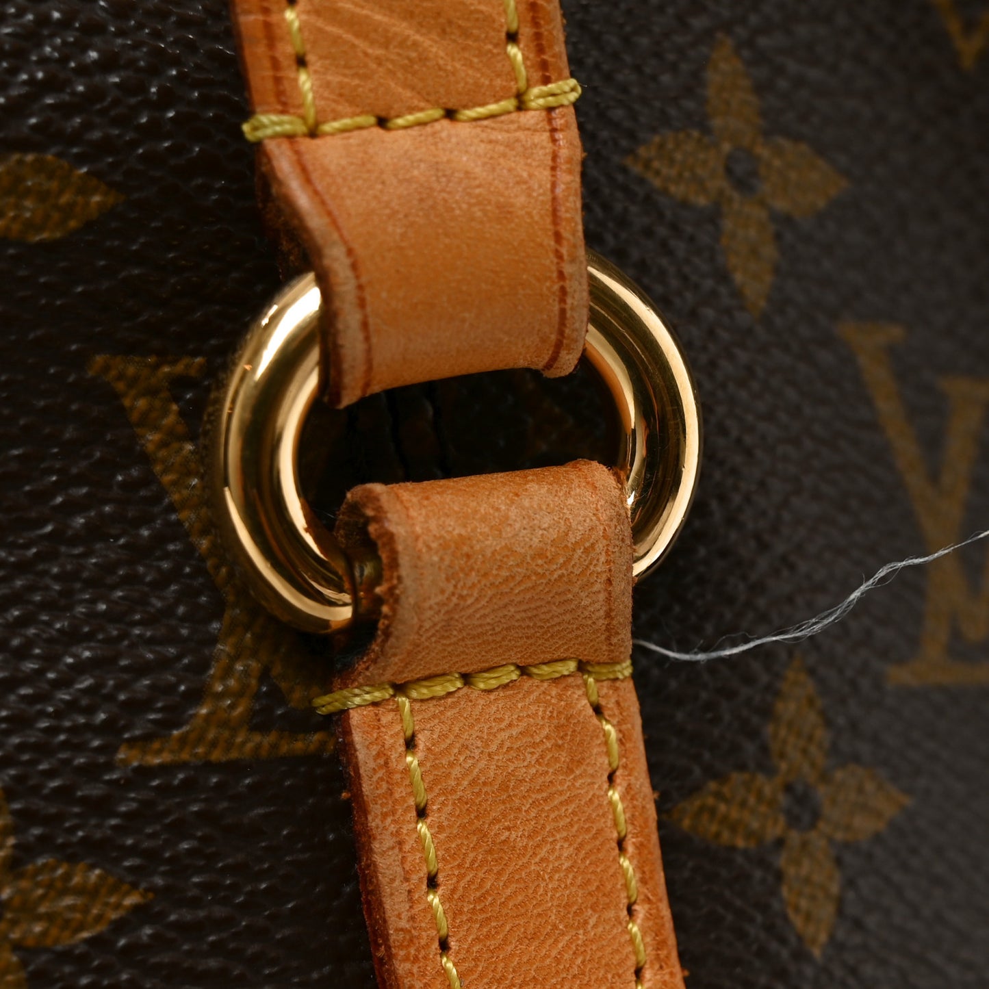 Monogram Totally MM