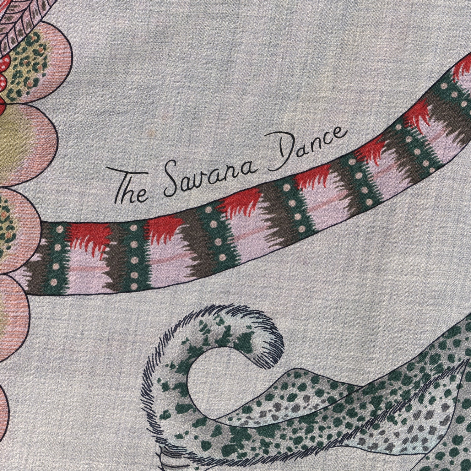 Hermes Cashmere Silk The Savana Dance Shawl 140 4 of 5