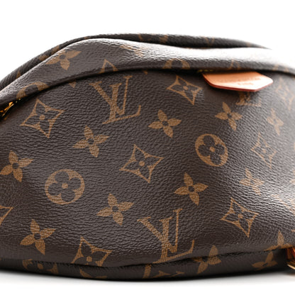 Louis Vuitton Monogram Bumbag 9 of 12