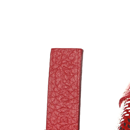 Goyard Goyardine Saint Louis PM Red 9 of 11