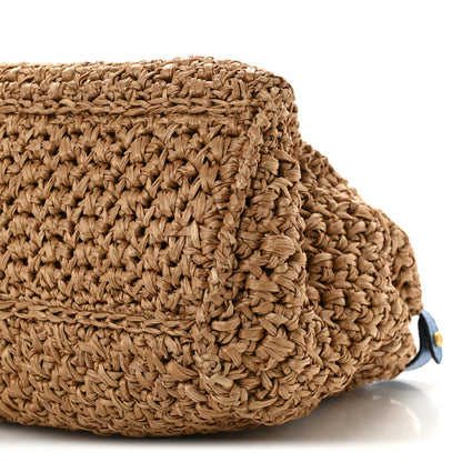 Fendi Raffia Snakeskin Large Peekaboo X-Tote Miele Bluette 10 of 10