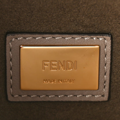 Fendi Vitello Seta Plexiglass Tortoise Medium Peekaboo Iconic Satchel Tortora 6 of 8