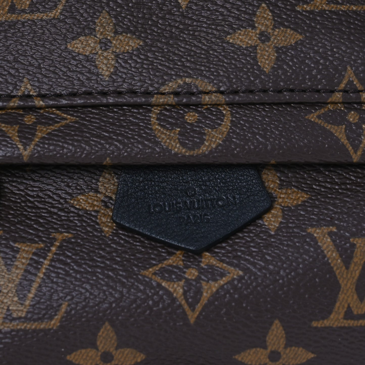 Monogram Palm Springs Backpack Mini