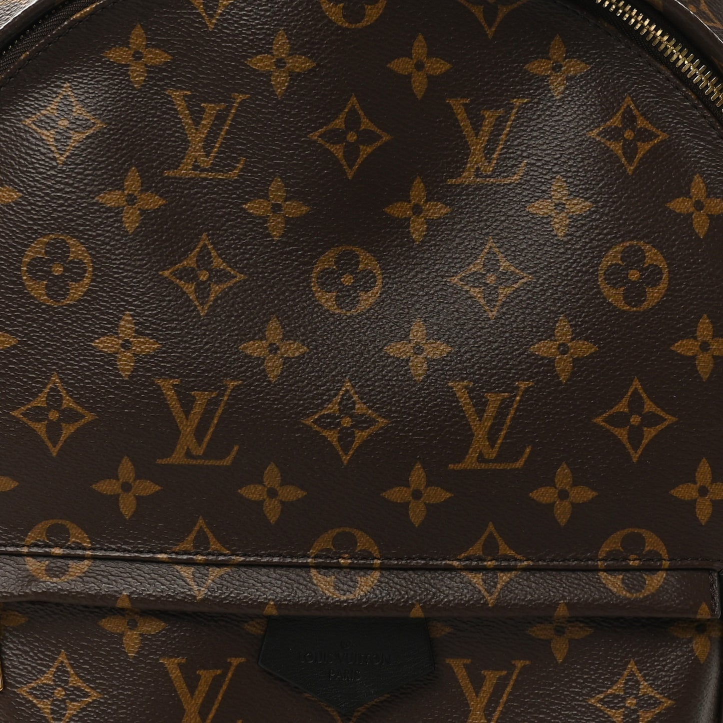 Monogram Palm Springs Backpack MM