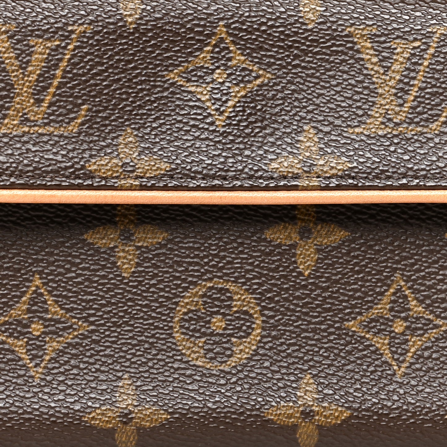 Monogram Pochette Florentine M