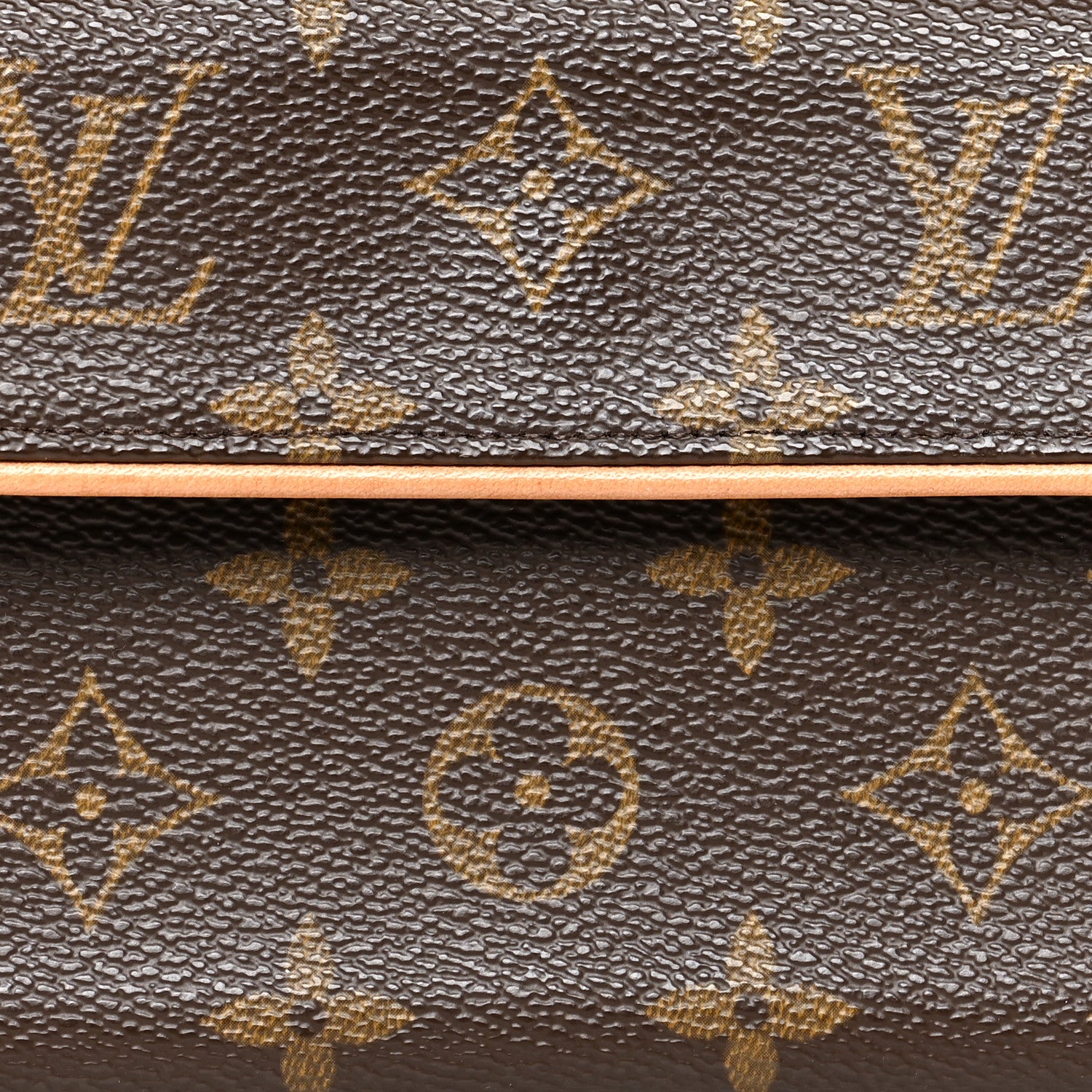 Louis Vuitton Monogram Pochette Florentine M 8 of 10