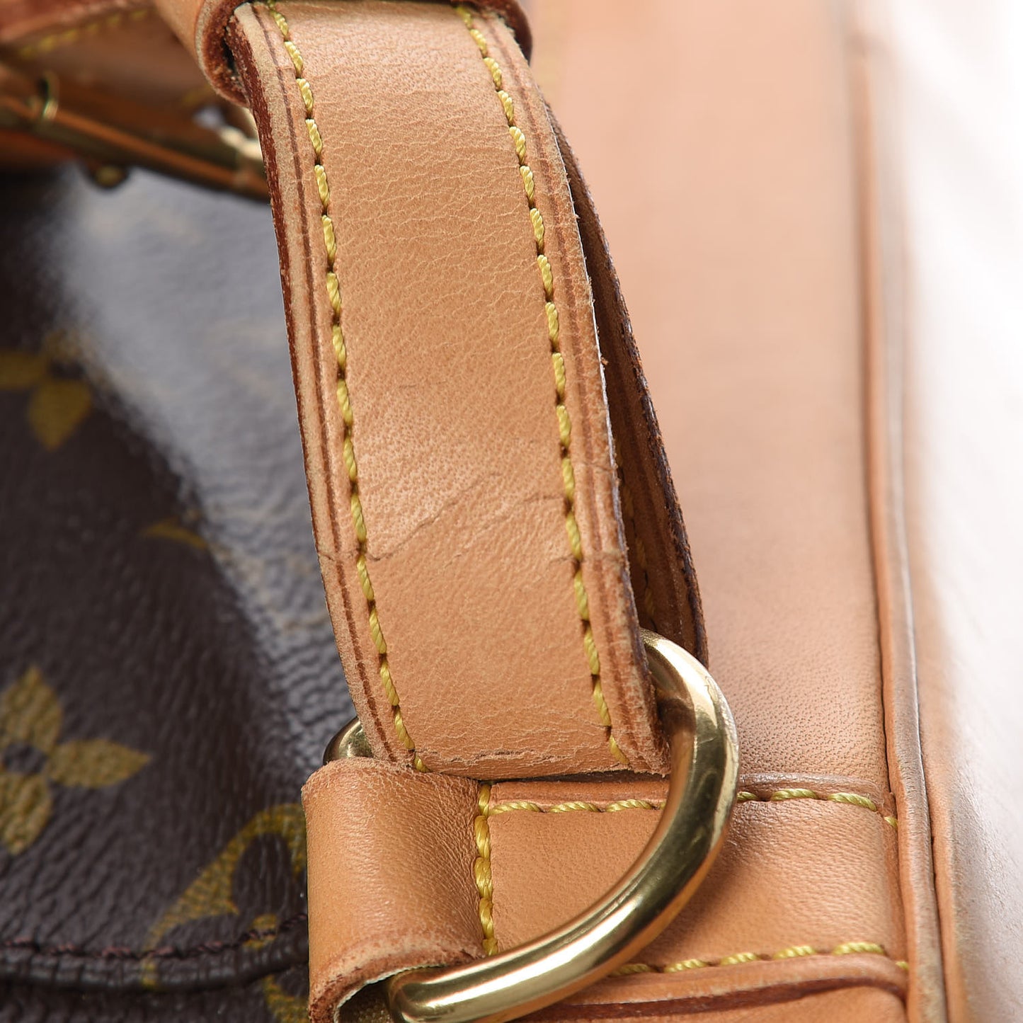 Monogram Montsouris GM Backpack