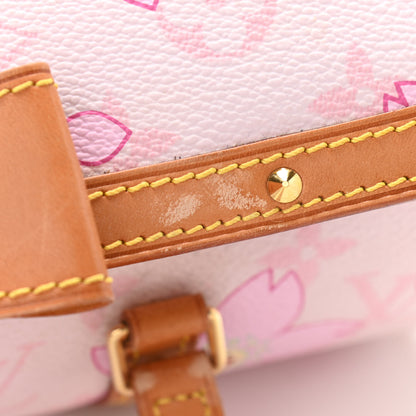Louis Vuitton Monogram Cherry Blossom Papillon Pink 10 of 12