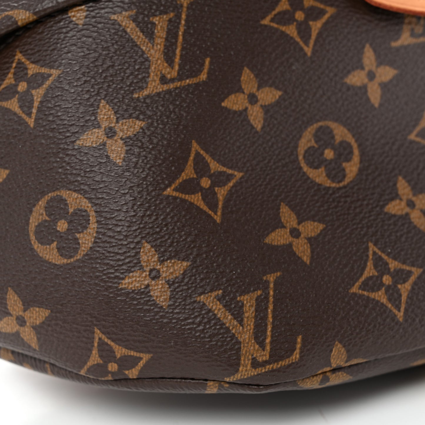 Monogram Bumbag