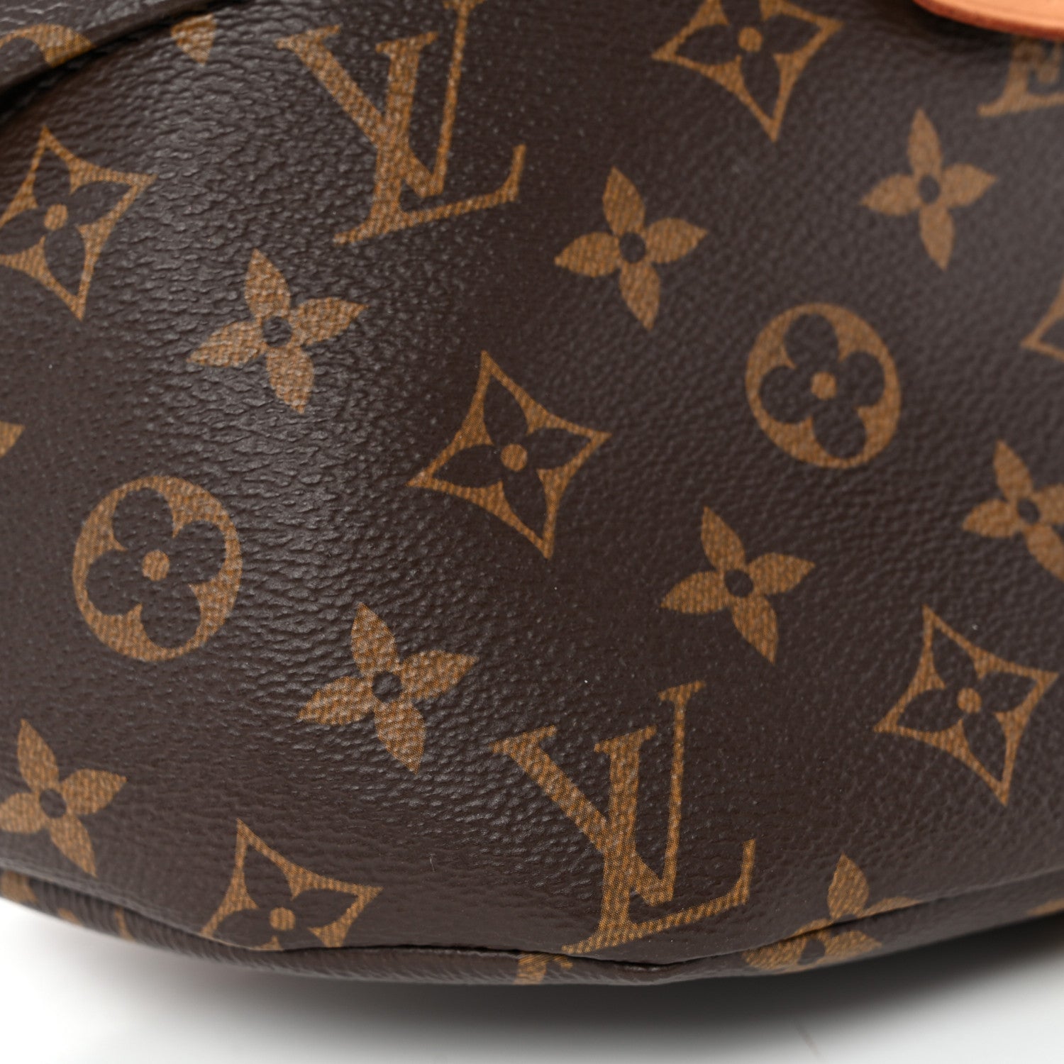 Louis Vuitton Monogram Bumbag 8 of 9