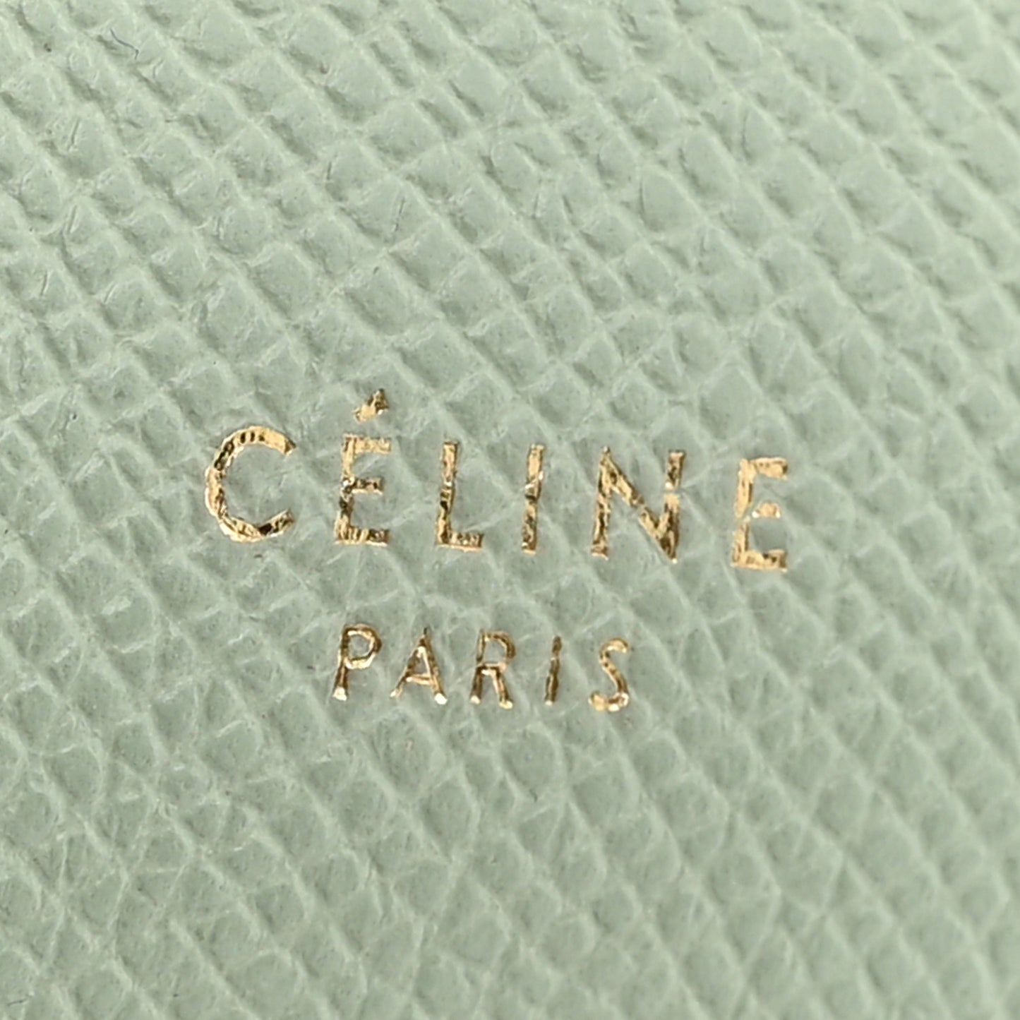 Grained Calfskin Nano Belt Bag Ice Mint