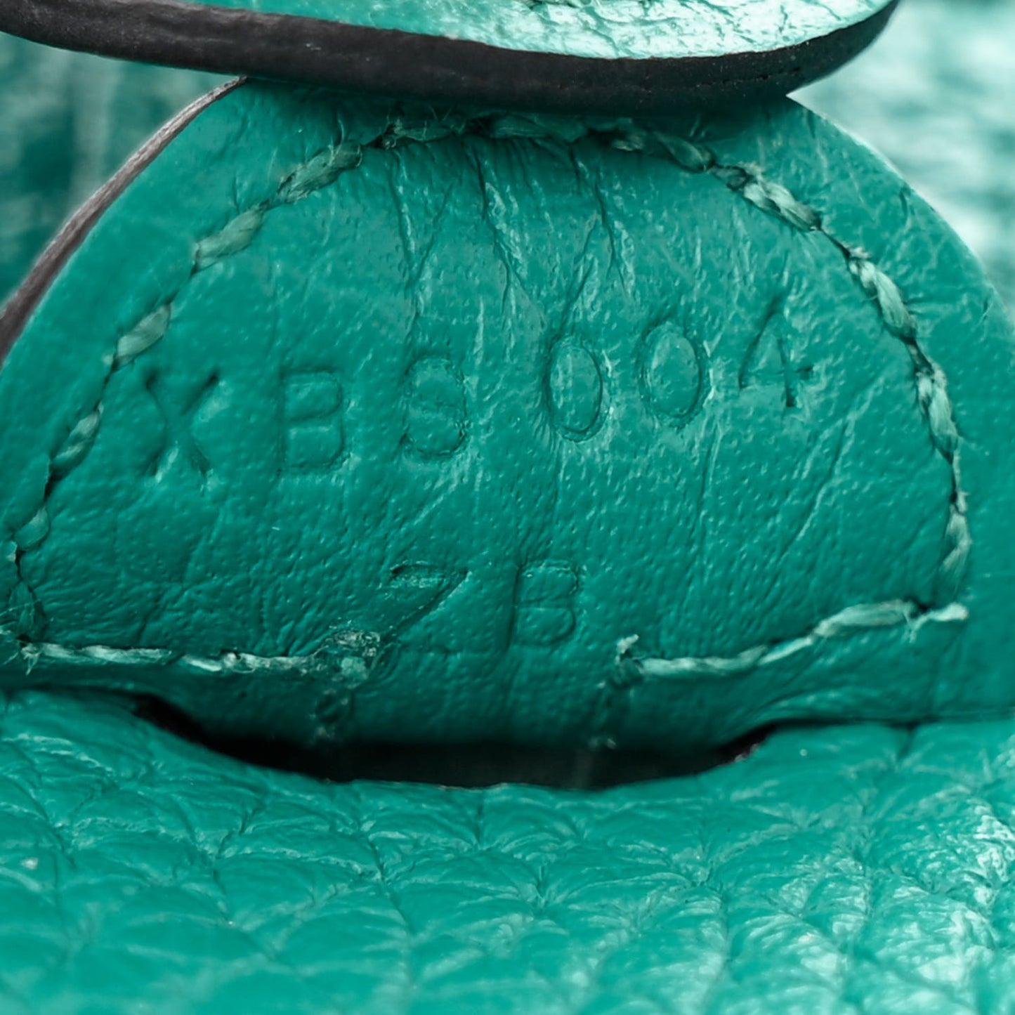 Taurillon Clemence Evelyne TPM Bleu Paon