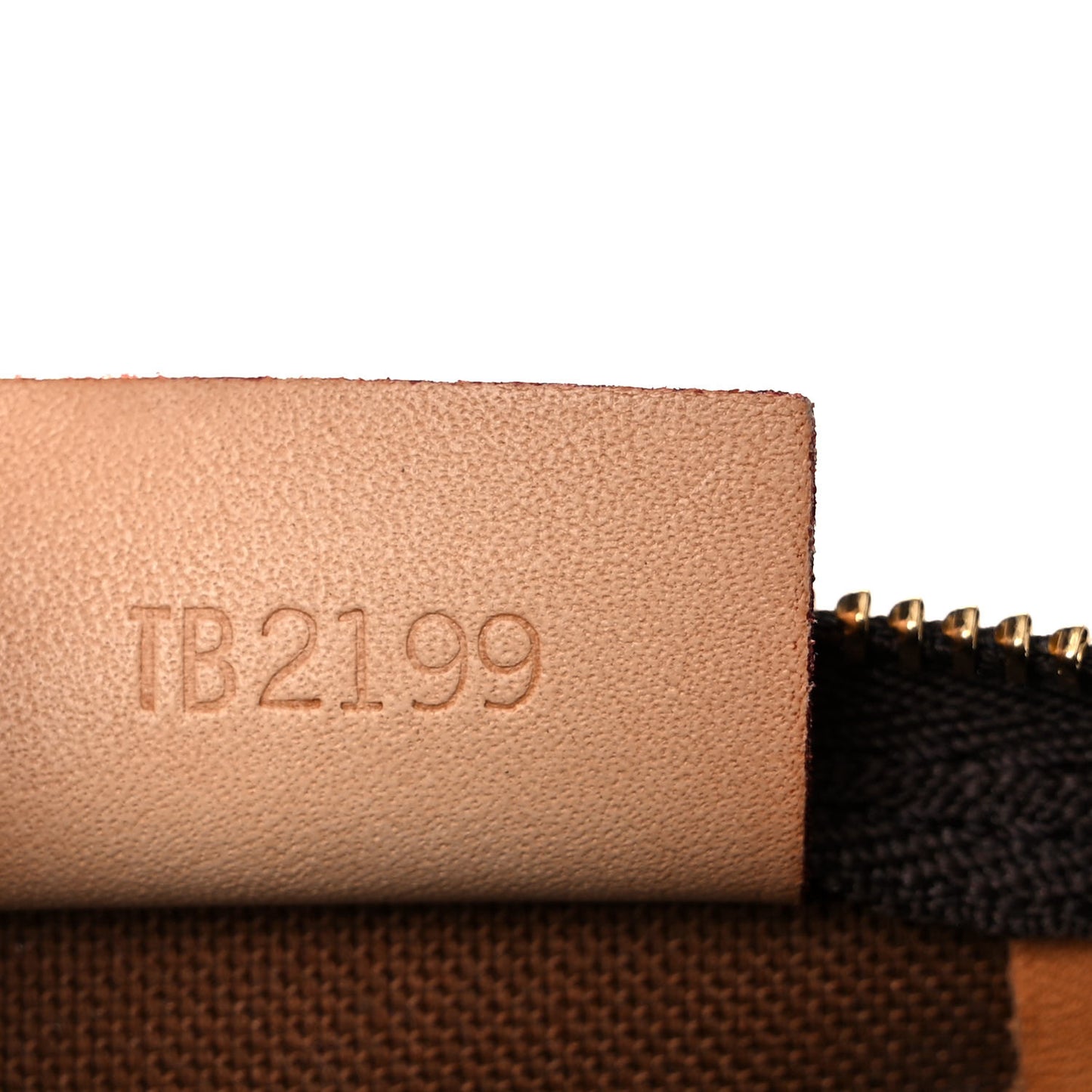 Monogram Nano Speedy