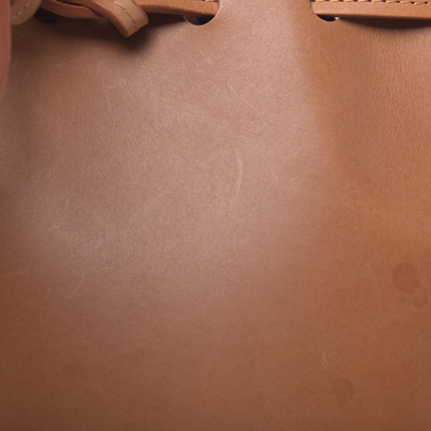 Vegetable Tanned Calfskin Mini Bucket Bag Cammello Azzurro
