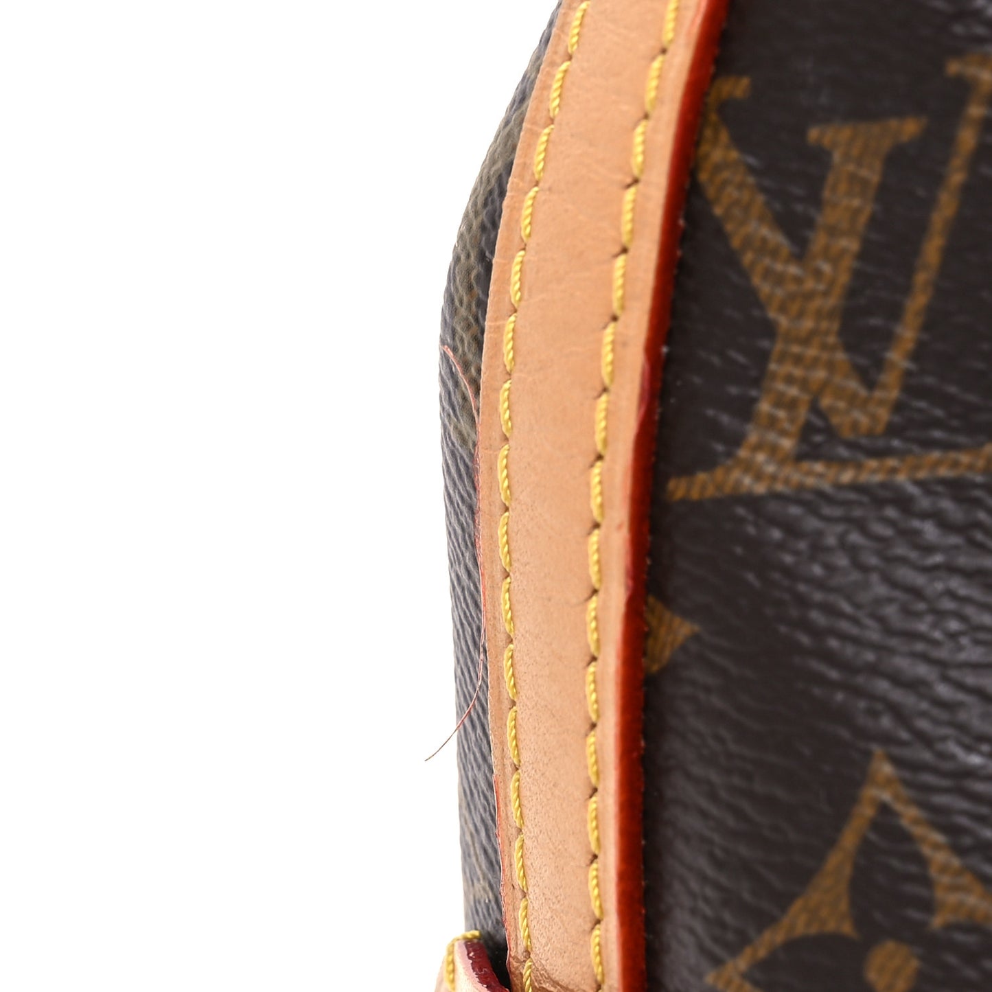 Monogram CarryAll PM