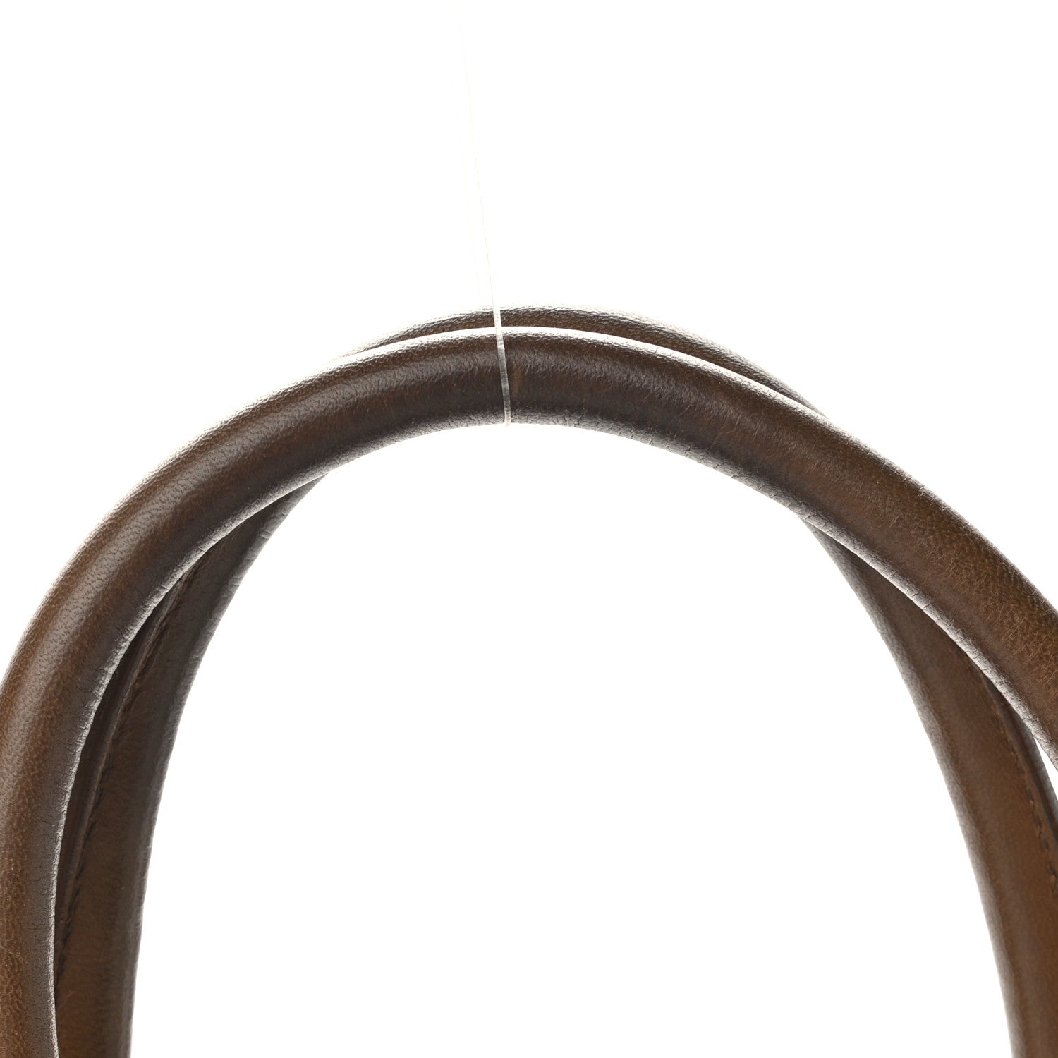 Saint Laurent Lizard Calfskin Embossed Medium Cabas ChYc Brown 15 of 24
