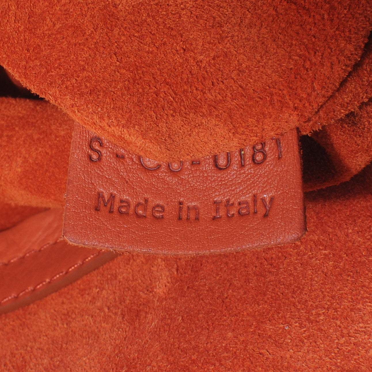 Smooth Calfskin Medium Phantom Luggage Bag Orange