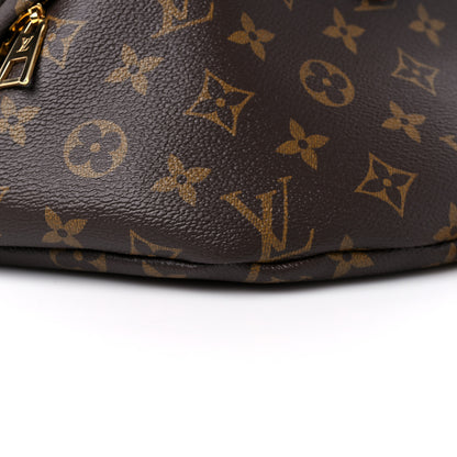 Louis Vuitton Monogram Bumbag 8 of 13