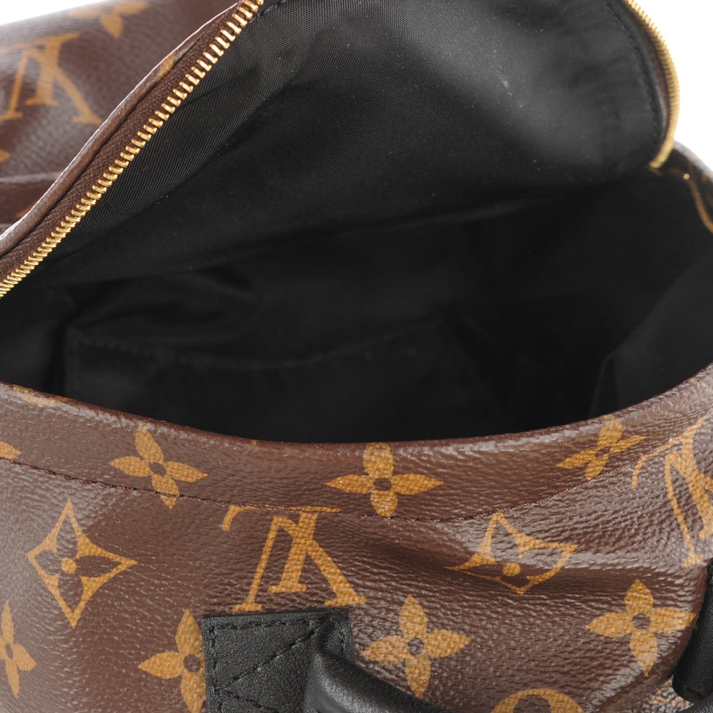 Monogram Palm Springs Backpack Mini
