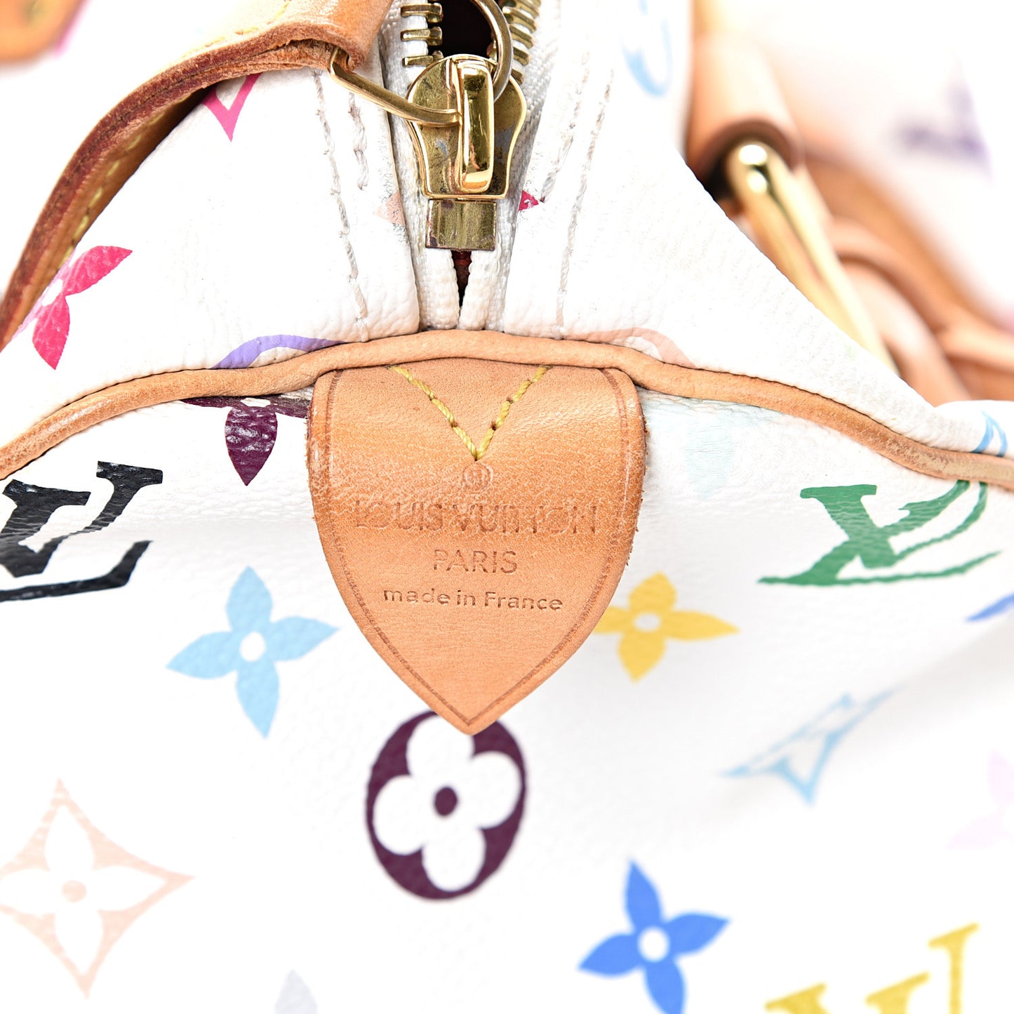 Monogram Multicolor Speedy 30 White
