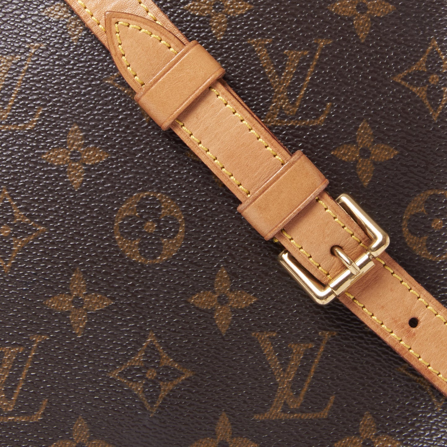 Monogram Musette Salsa