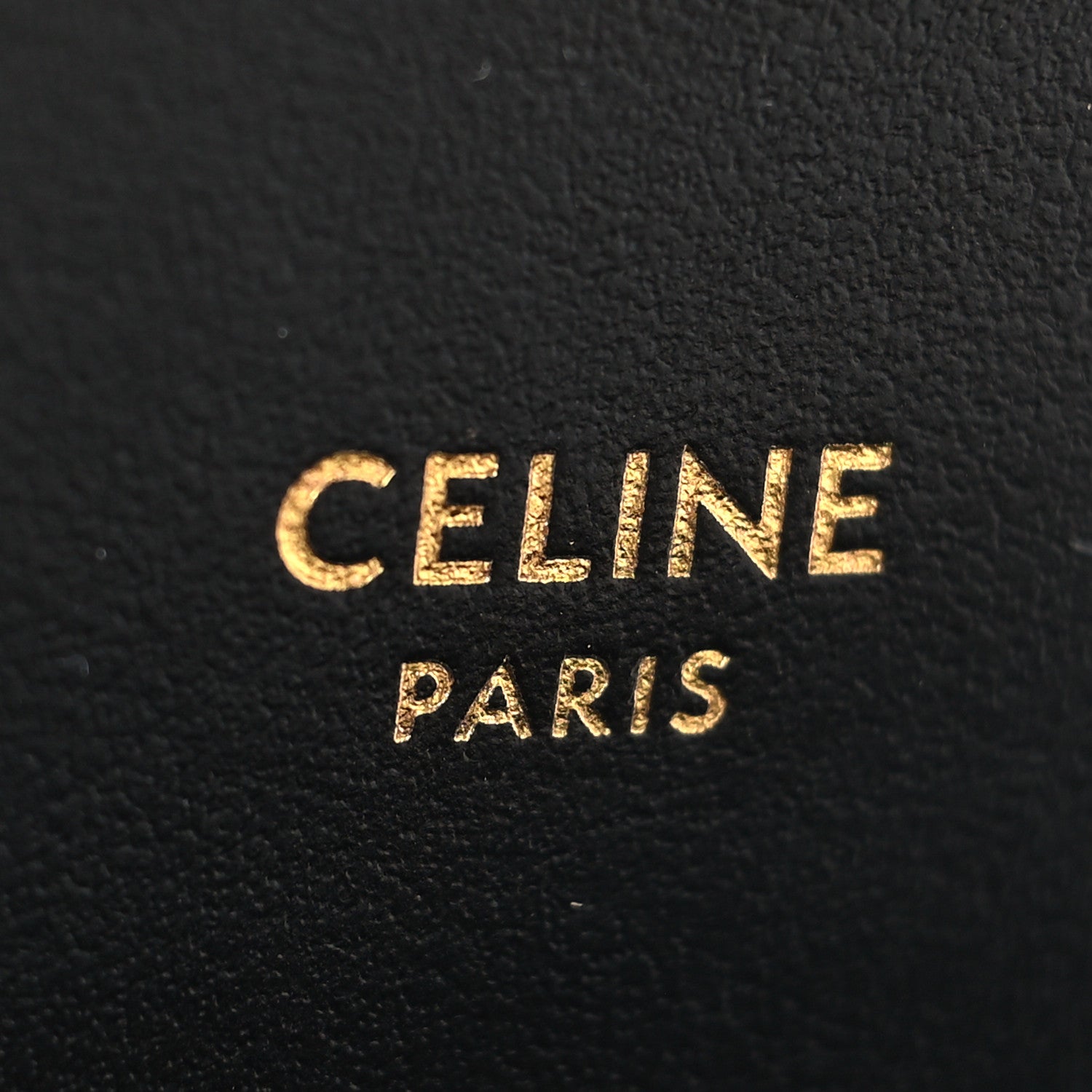 Celine Velvet Leopard Print Mini Triomphe Multicolor 6 of 9