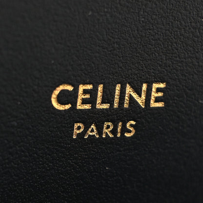 Celine Velvet Leopard Print Mini Triomphe Multicolor 6 of 9
