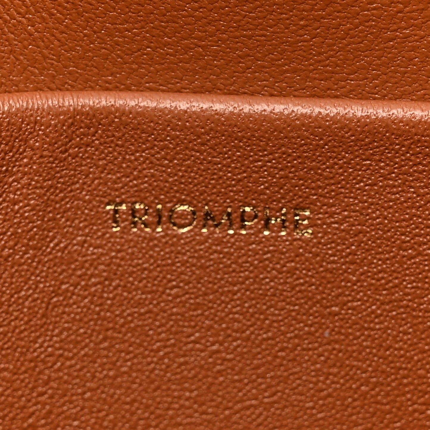 Shiny Calfskin Teen Triomphe Tan