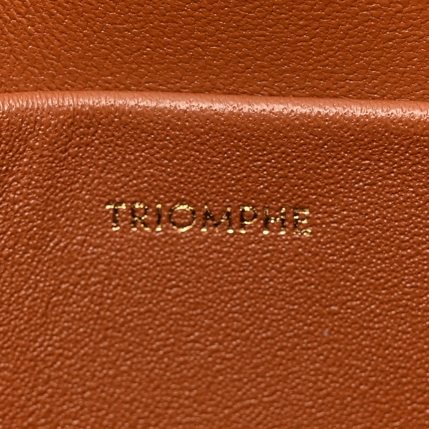 Celine Shiny Calfskin Teen Triomphe Tan 7 of 13