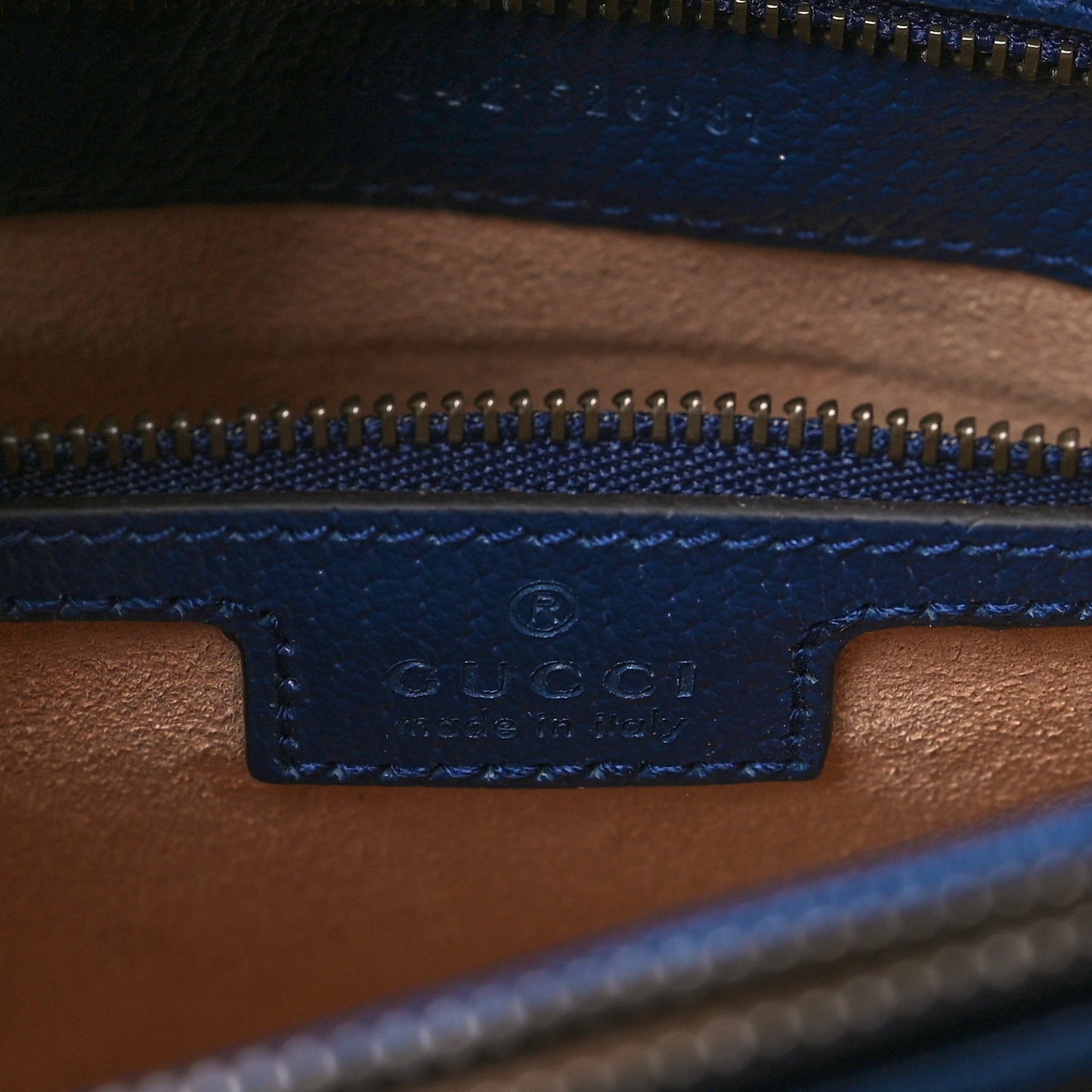 Textured Dollar Calfskin Web Medium Diana Tote Bag Royal Crop