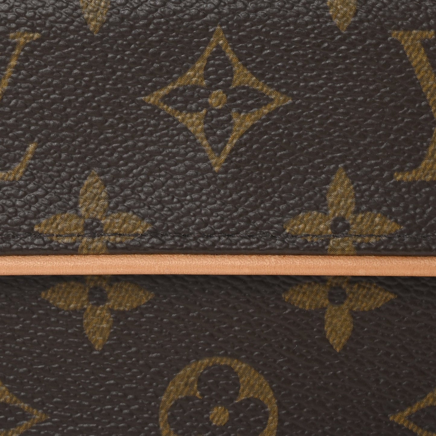 Monogram Pochette Florentine S