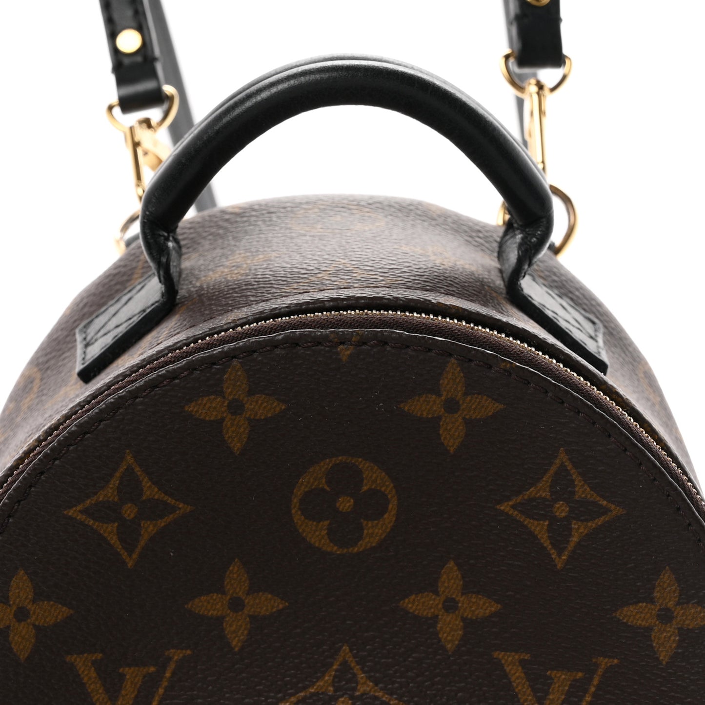 Monogram Palm Springs Backpack Mini